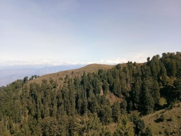Dainkund Peak-1